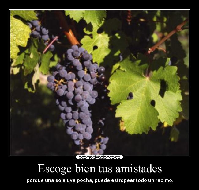 Escoge bien tus amistades -