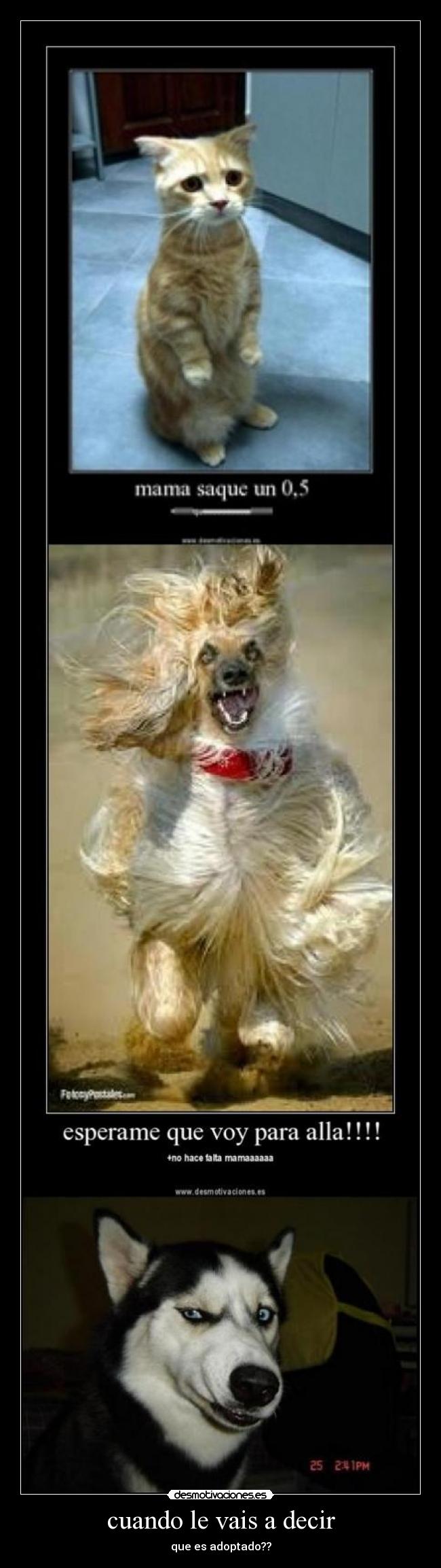 cuando le vais a decir - que es adoptado??