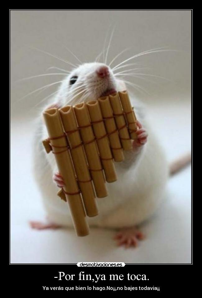-Por fin,ya me toca. -