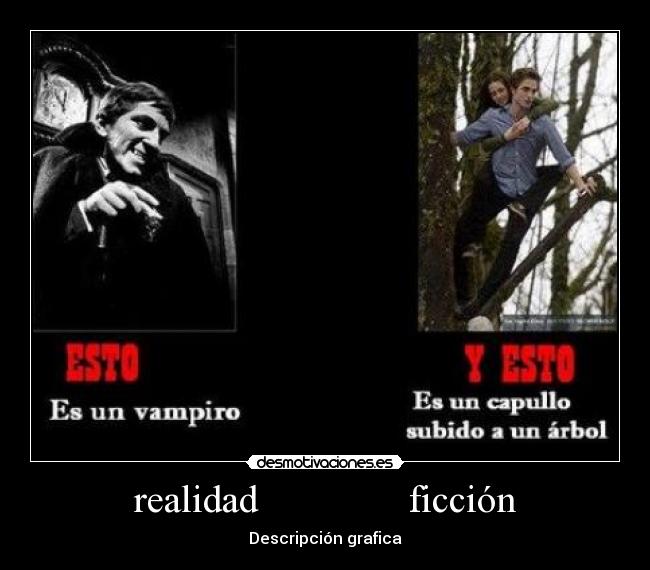 realidad ficción - Descripción grafica