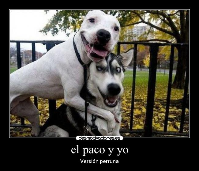 el paco y yo - Versión perruna