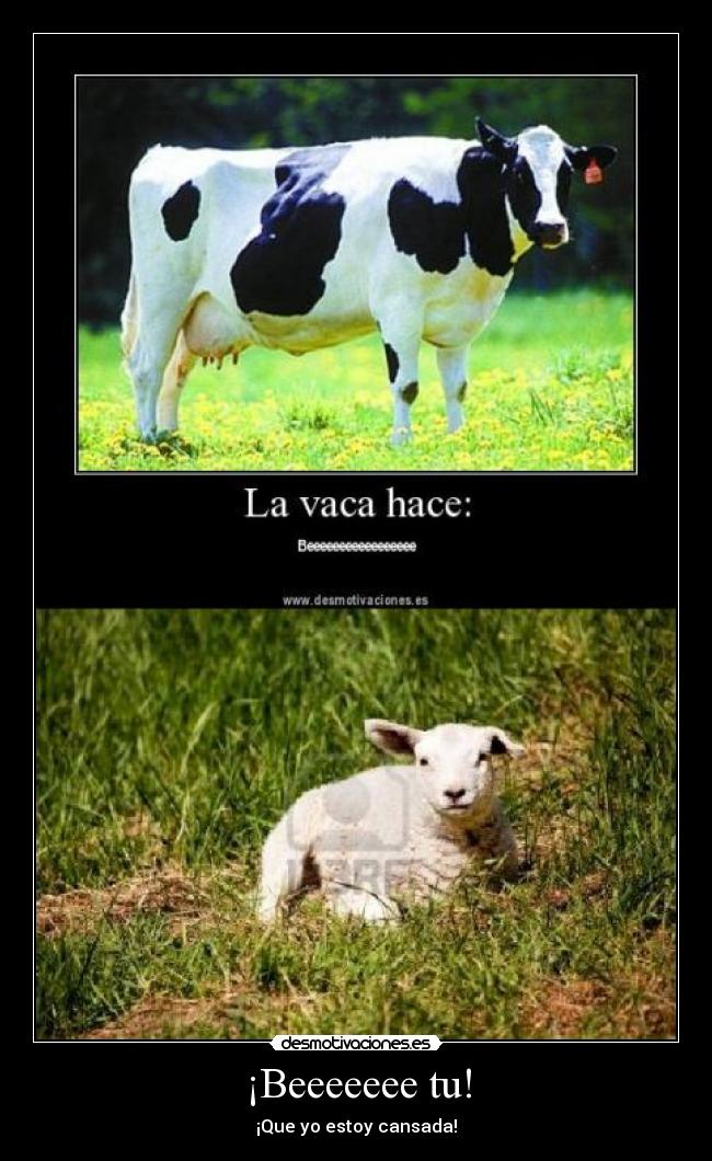 carteles respuesta vaca hace beeeeee una oveja desmotivaciones