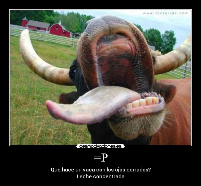 =P - Qué hace un vaca con los ojos cerrados?
Leche concentrada