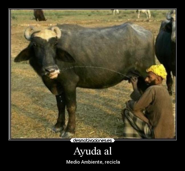 Ayuda al - 
