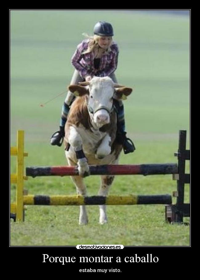 carteles caballo vaca desmotivaciones
