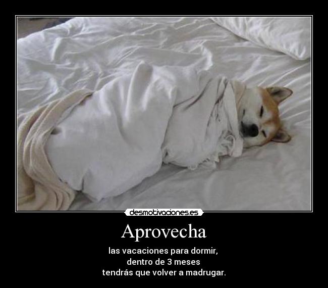 Aprovecha - las vacaciones para dormir, 
dentro de 3 meses 
tendrás que volver a madrugar.