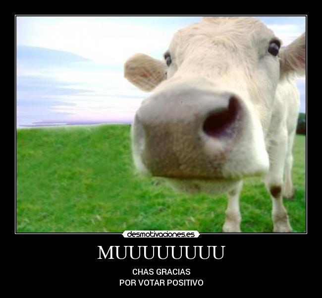 MUUUUUUUU -