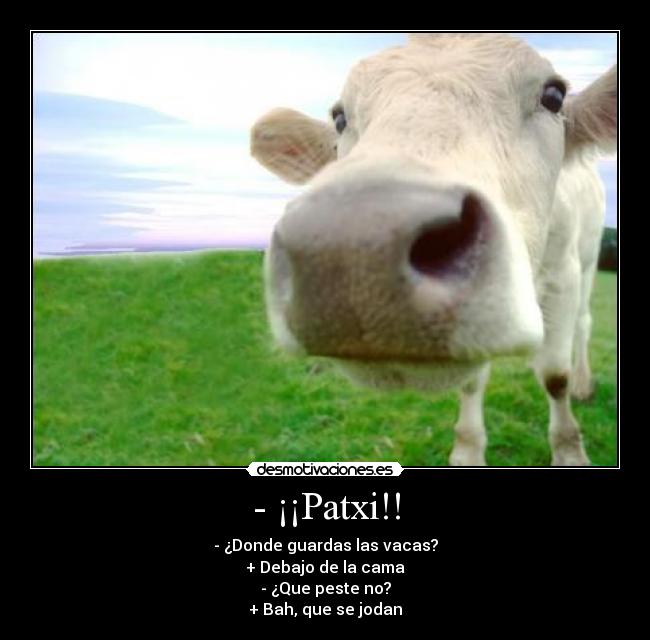 - ¡¡Patxi!! - 