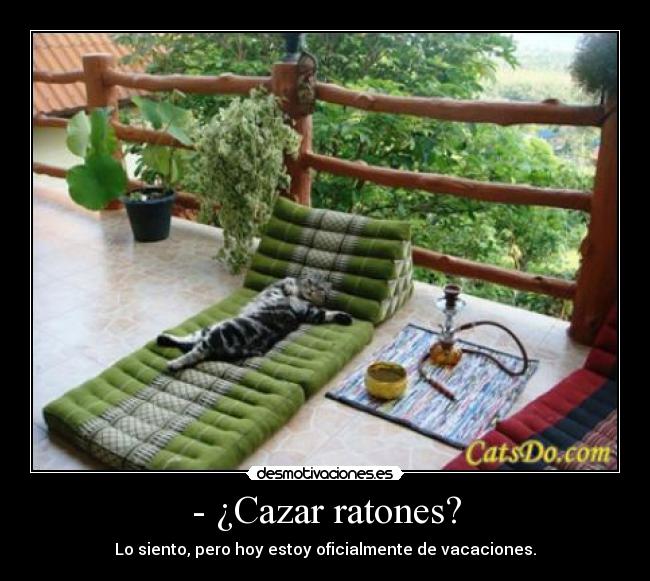 - ¿Cazar ratones? - Lo siento, pero hoy estoy oficialmente de vacaciones.