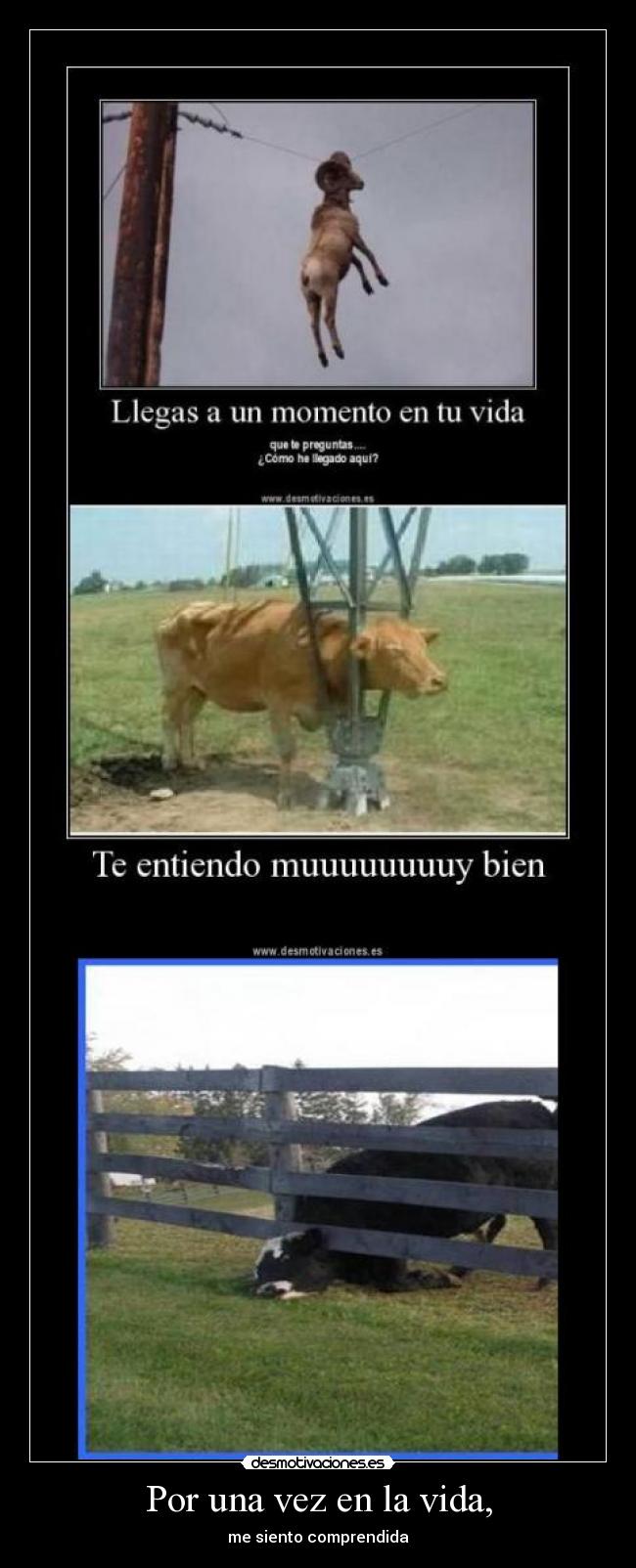 Por una vez en la vida, - 