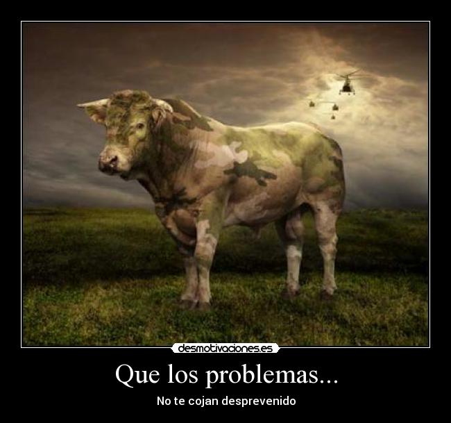 Que los problemas... -