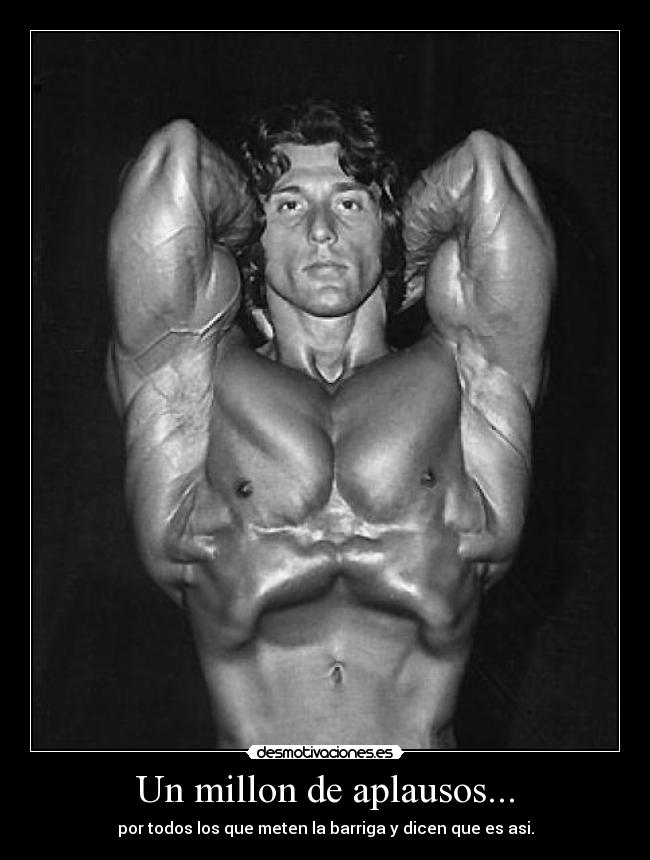carteles barriga desmotivaciones