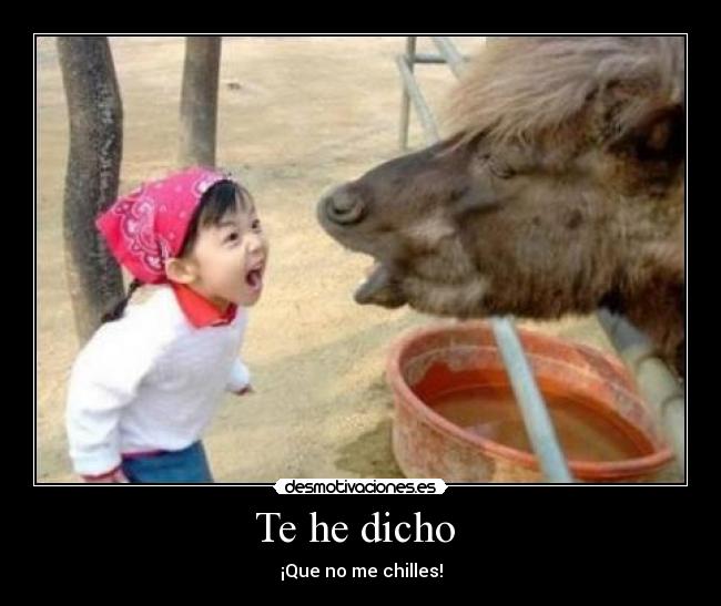 Te he dicho - ¡Que no me chilles!