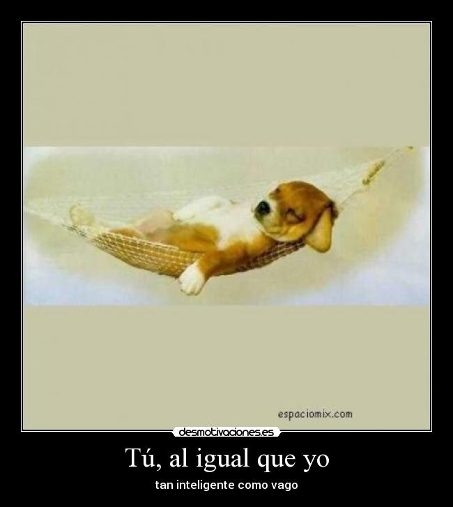 Tú, al igual que yo - 