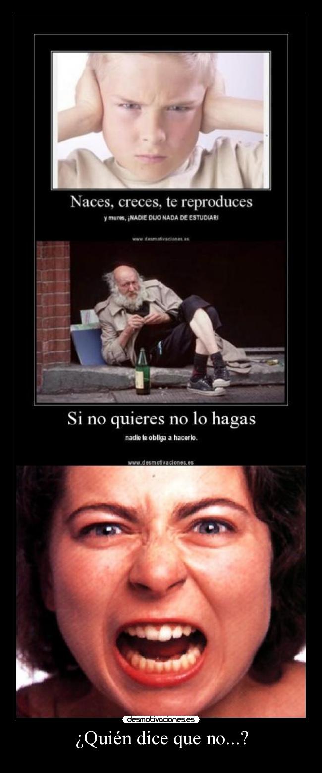 ¿Quién dice que no...? -