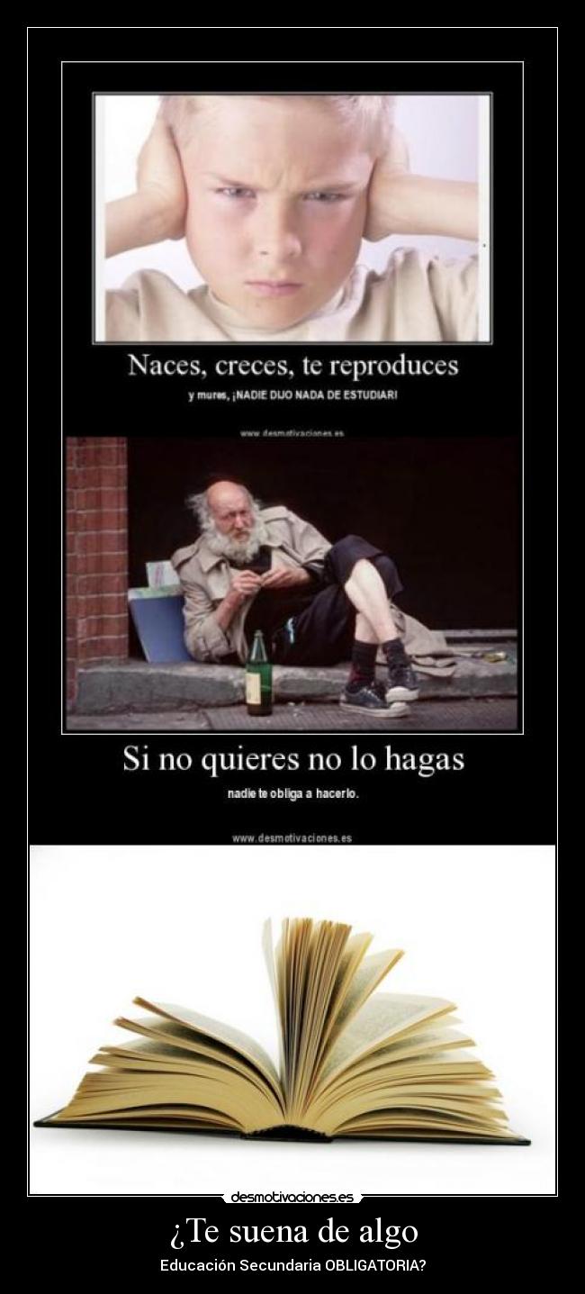 ¿Te suena de algo - 