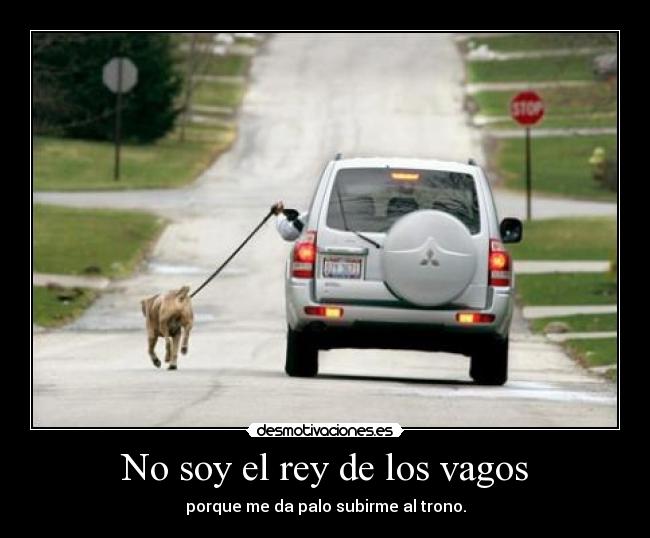 No soy el rey de los vagos - 