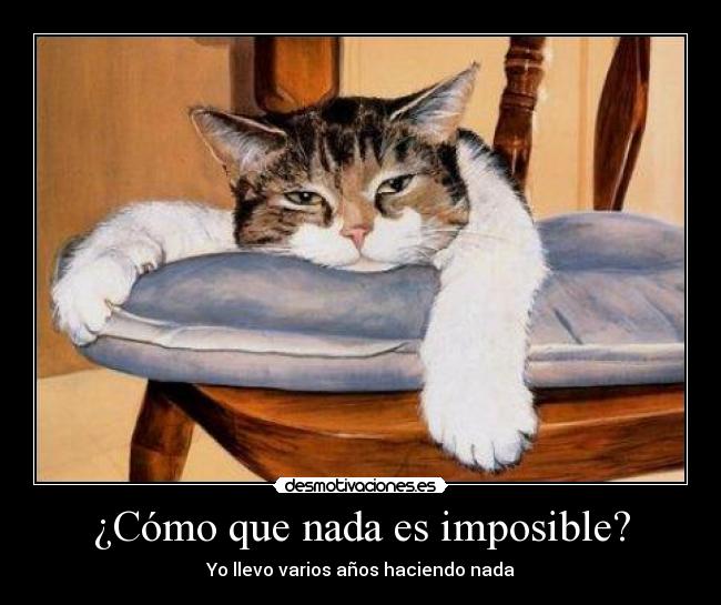 ¿Cómo que nada es imposible? - Yo llevo varios años haciendo nada