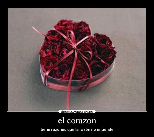 el corazon -