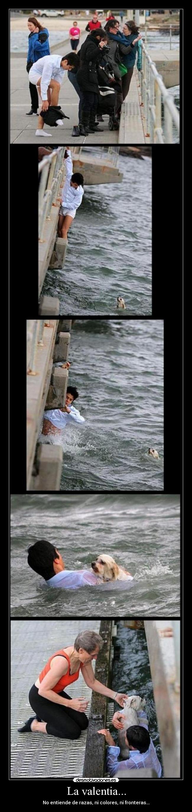 La valentia... - No entiende de razas, ni colores, ni fronteras...