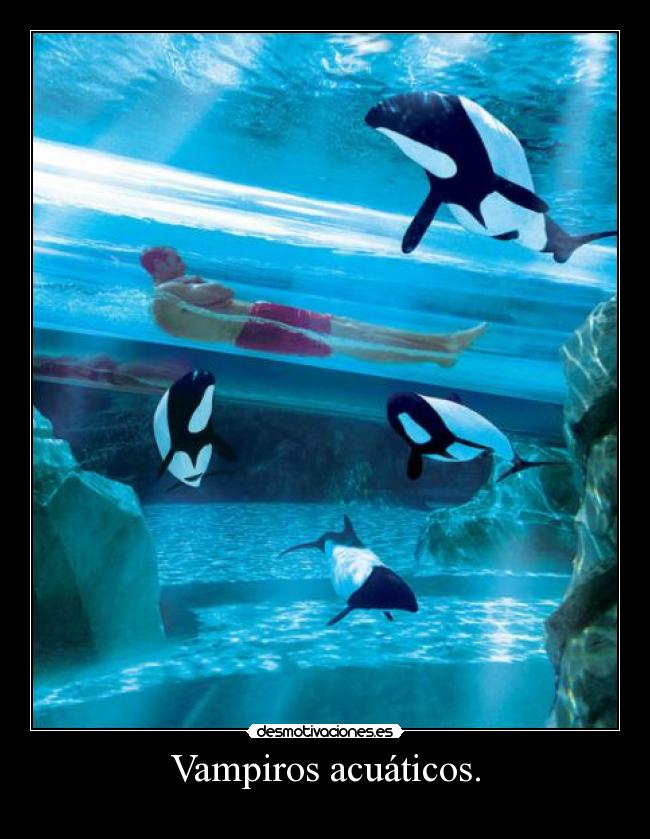 Vampiros acuáticos. - 