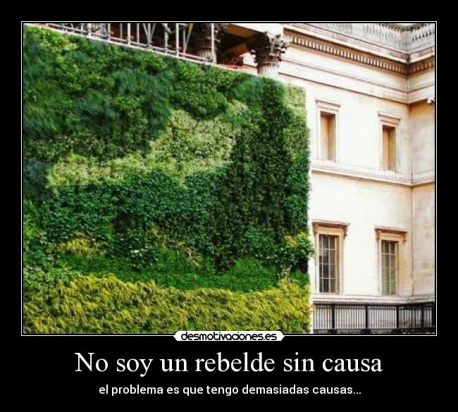 No soy un rebelde sin causa - 