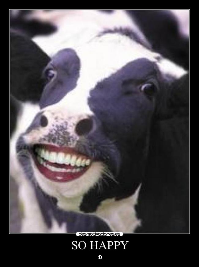 SO HAPPY -