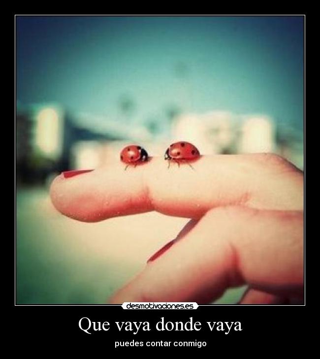 carteles vaya donde vaya desmotivaciones