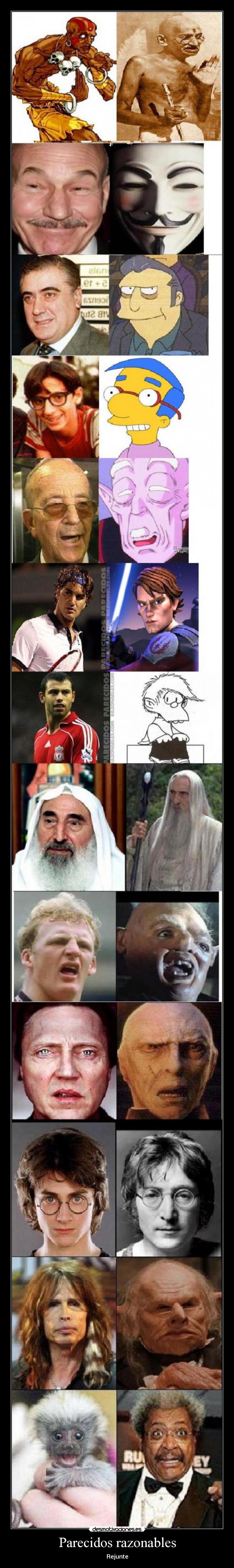 Parecidos razonables -