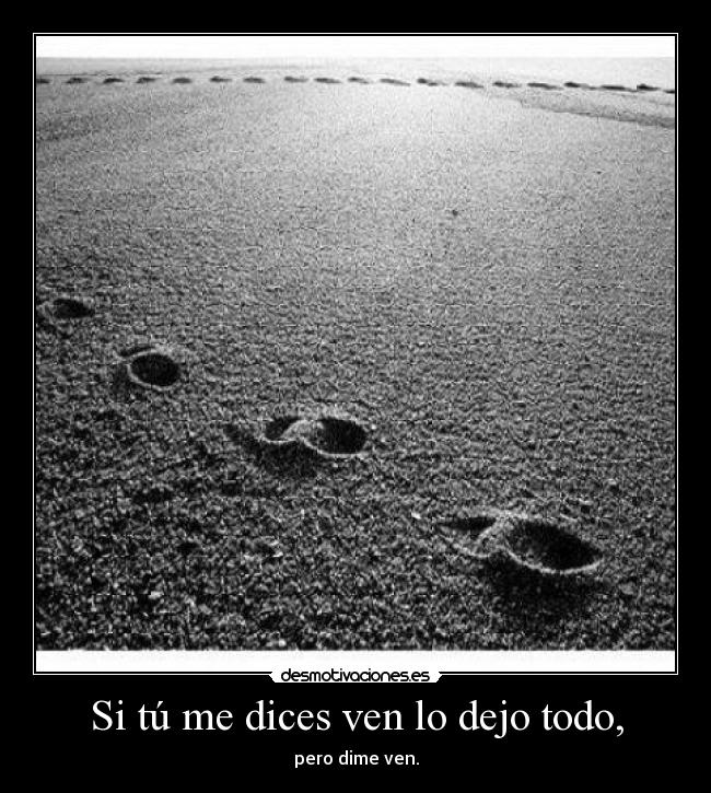 Si tú me dices ven lo dejo todo, -