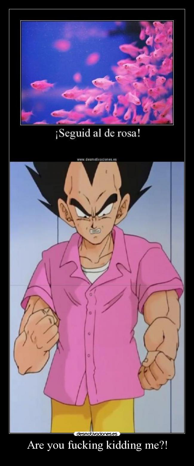 carteles vegeta camisa rosa desmotivaciones