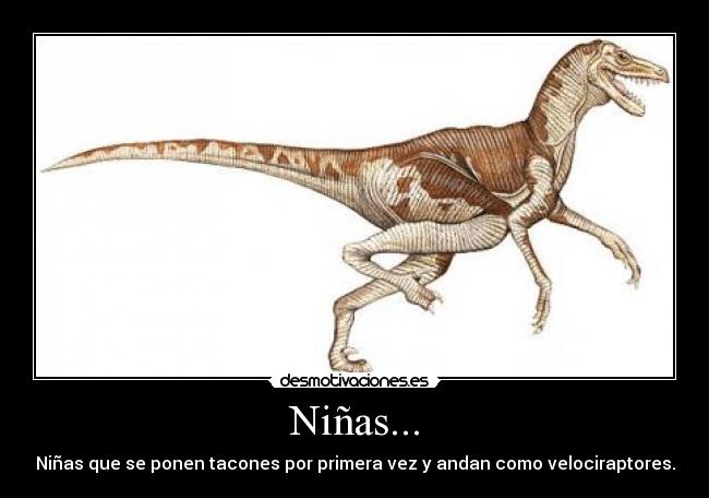 Niñas... - Niñas que se ponen tacones por primera vez y andan como velociraptores.