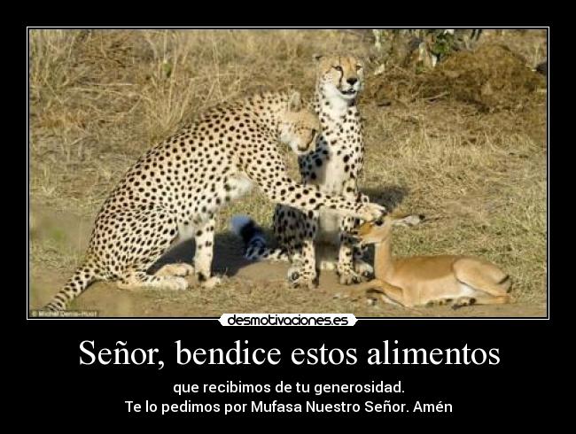 Señor, bendice estos alimentos - 