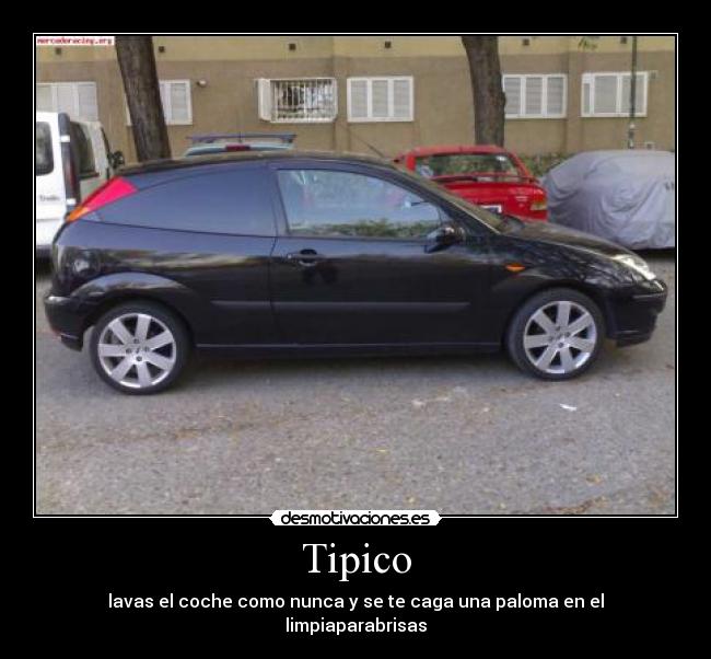 Tipico - lavas el coche como nunca y se te caga una paloma en el limpiaparabrisas
