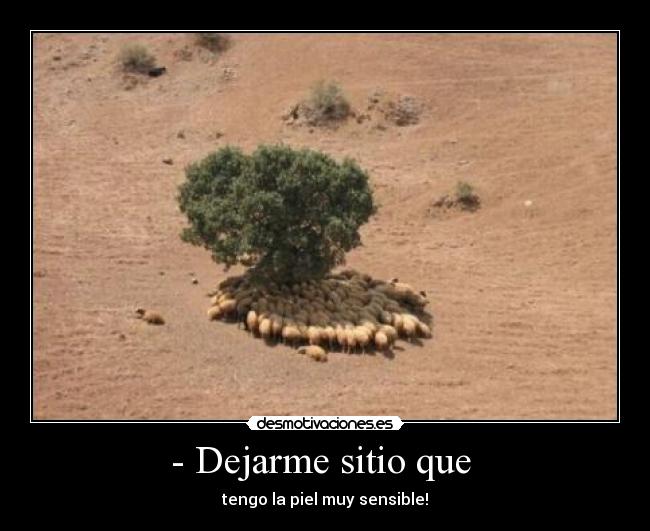 - Dejarme sitio que -