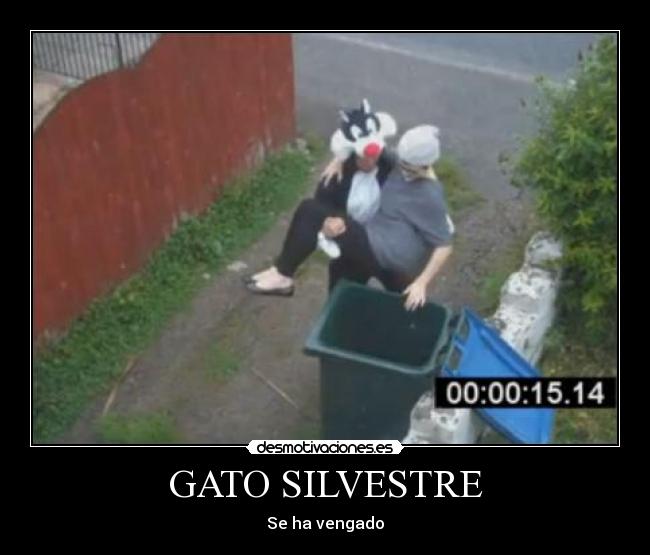 GATO SILVESTRE - Se ha vengado