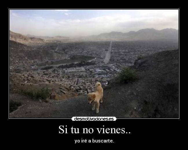 Si tu no vienes.. - yo iré a buscarte.