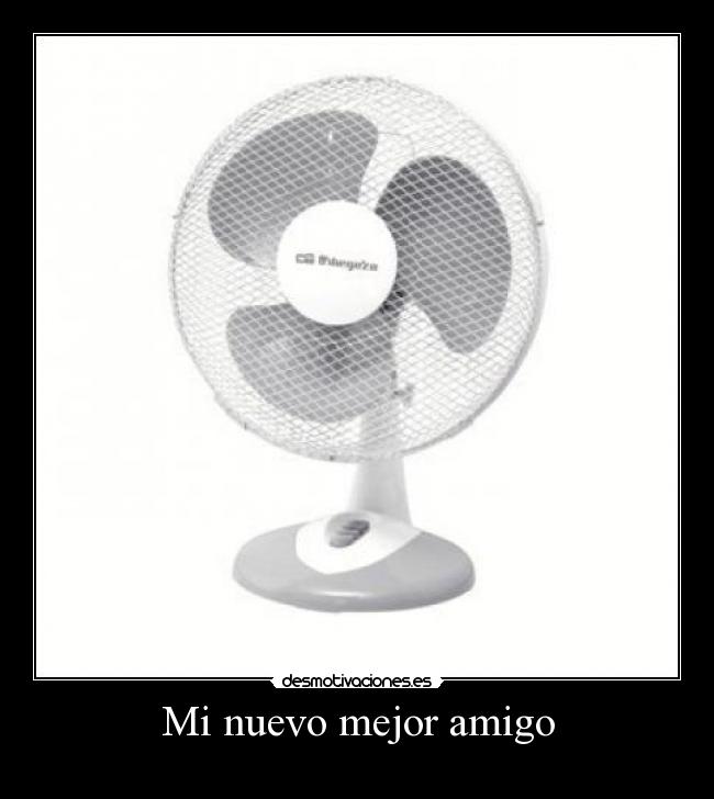 Mi nuevo mejor amigo - 