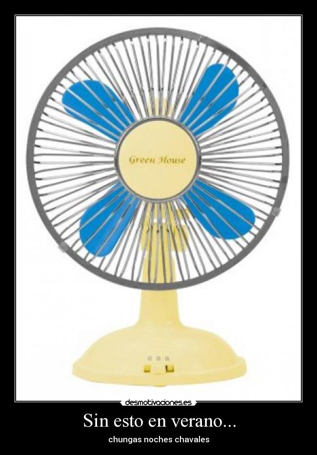Sin esto en verano... - 