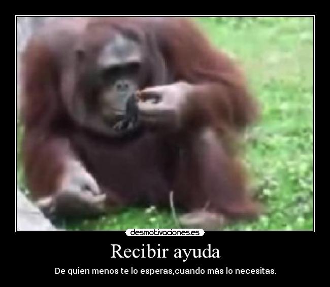 Recibir ayuda - 