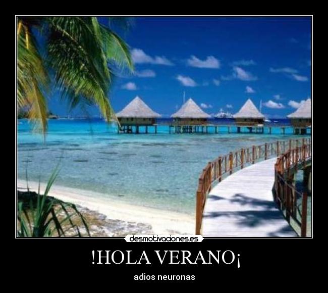 !HOLA VERANO¡ - adios neuronas