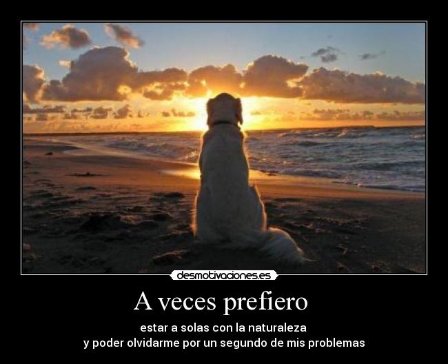 A veces prefiero - estar a solas con la naturaleza
y poder olvidarme por un segundo de mis problemas