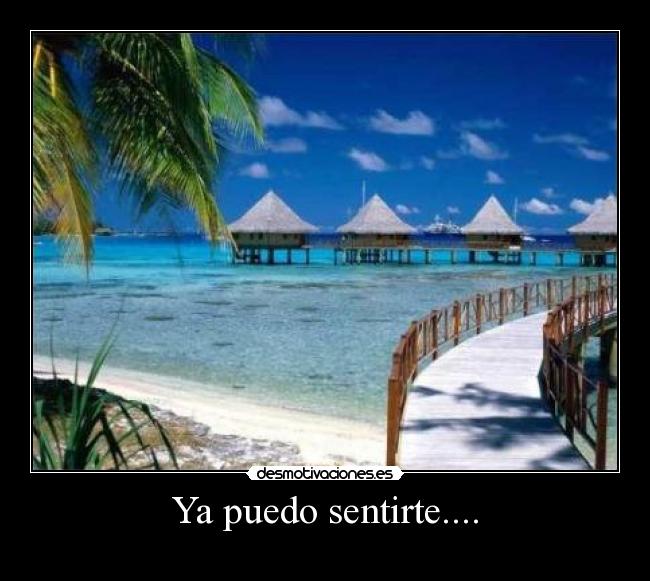Ya puedo sentirte.... -