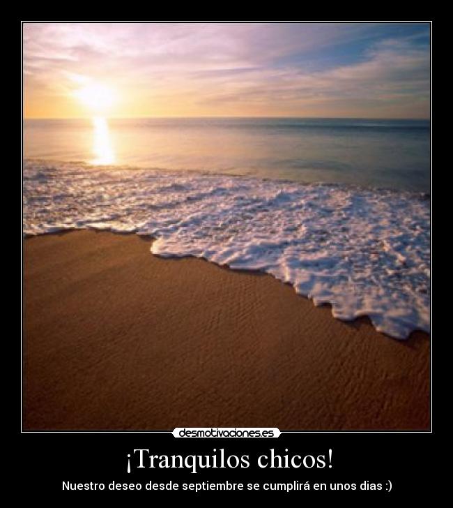 ¡Tranquilos chicos! - 