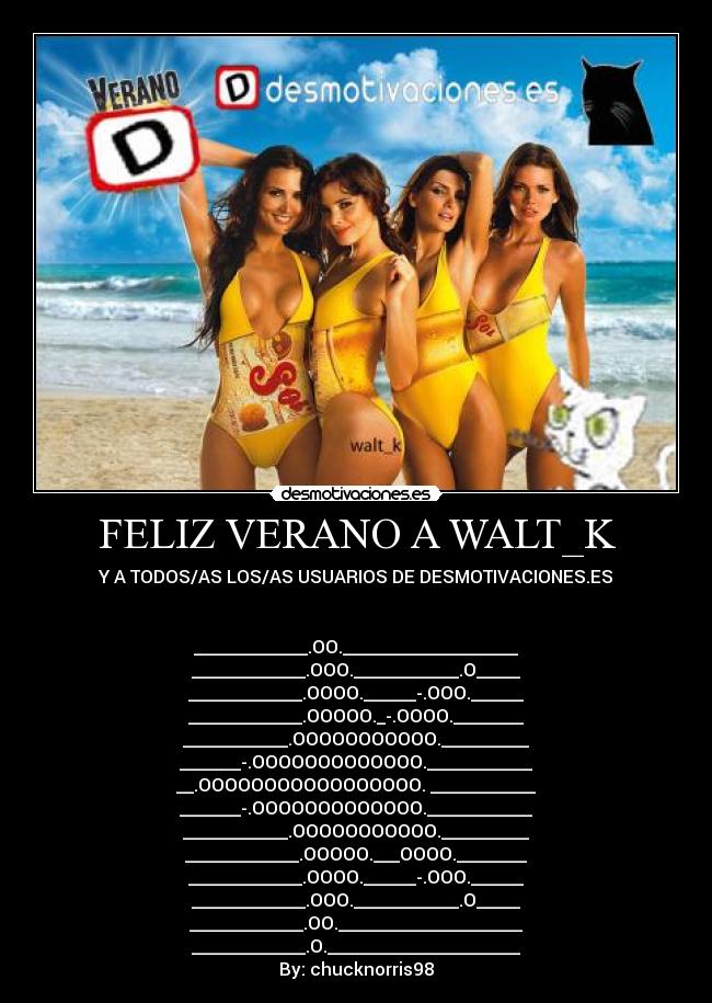 carteles verano verano walt_k playa lol chucknorris98 principal desmotivaciones piscina arena amor desmotivaciones