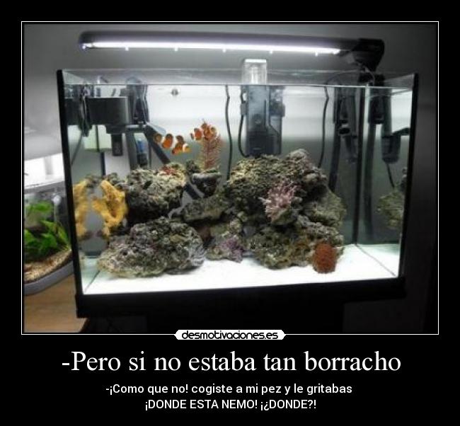 -Pero si no estaba tan borracho - -¡Como que no! cogiste a mi pez y le gritabas 
¡DONDE ESTA NEMO! ¡¿DONDE?!