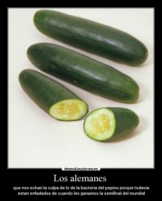 Los alemanes  - 