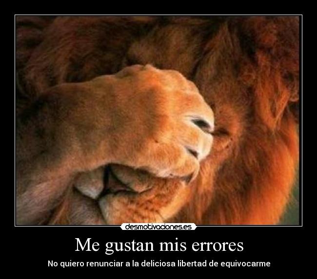 Me gustan mis errores - 