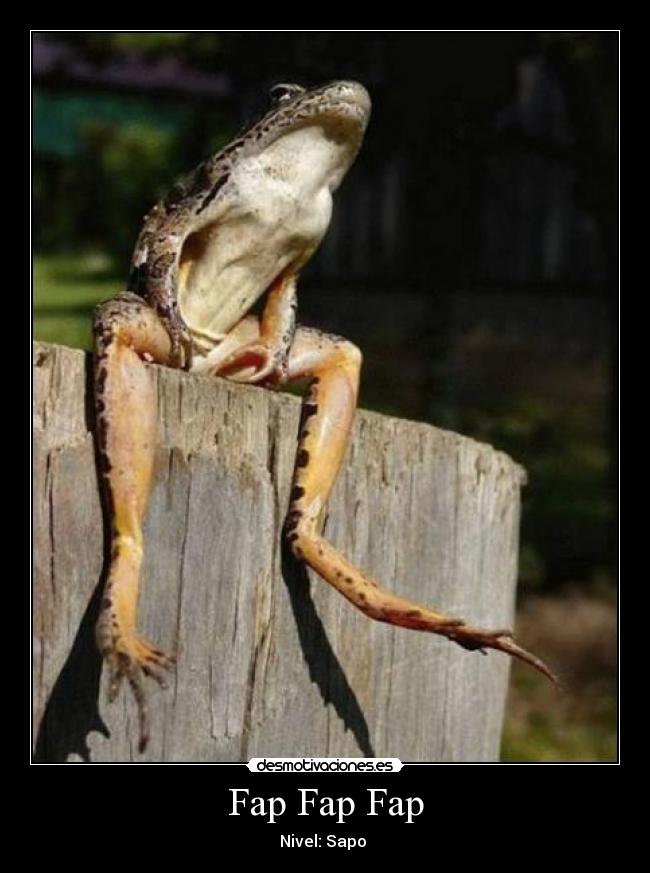 Fap Fap Fap - Nivel: Sapo