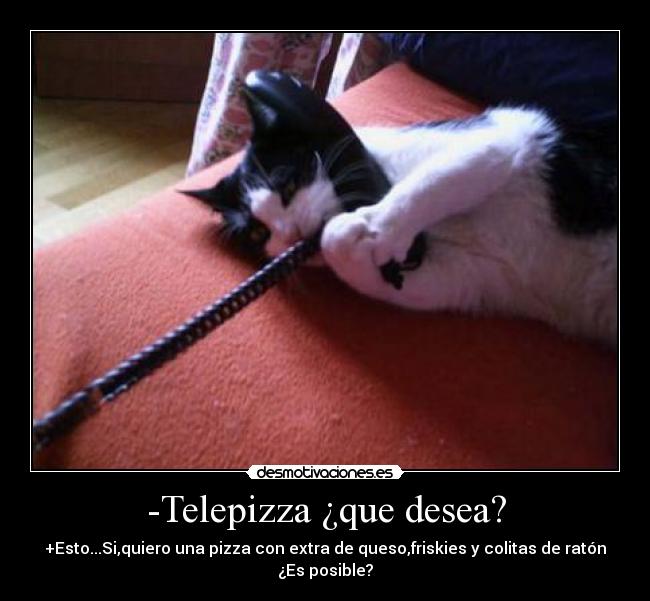 -Telepizza ¿que desea? - +Esto...Si,quiero una pizza con extra de queso,friskies y colitas de ratón
¿Es posible?
